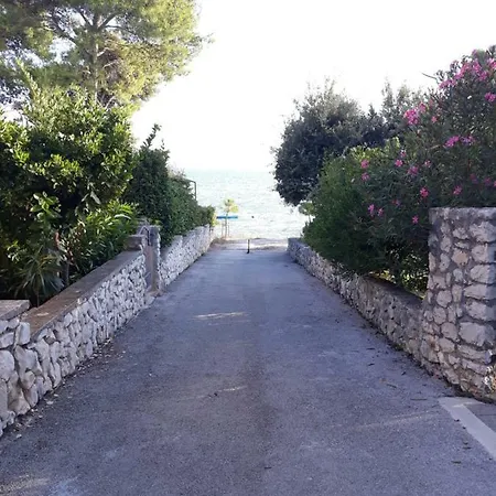 Pirat *